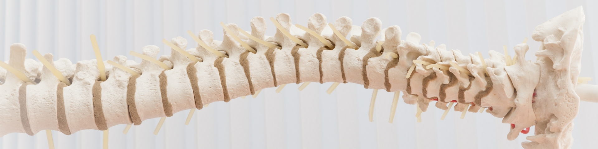 studio fisiomara, aplicazione del metodo feldenkrais aprilia, fisioterapia, rieducazione temporo mandibolare